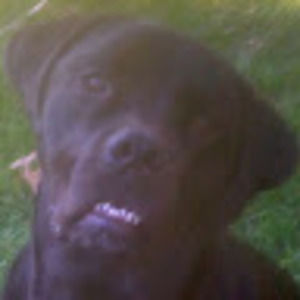 Meet your Posher, Lizzie